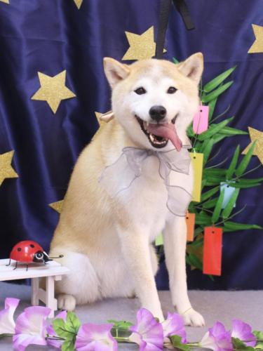 20230705ハナ子ちゃん